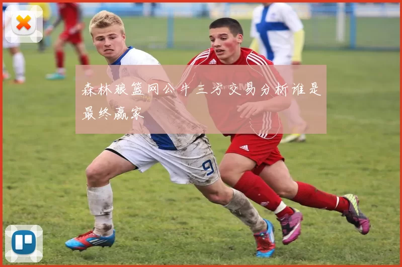 森林狼篮网公牛三方交易分析谁是最终赢家