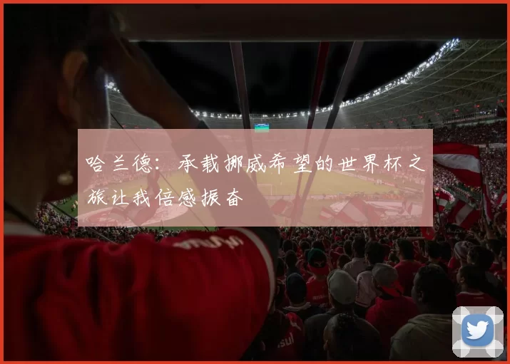 哈兰德：承载挪威希望的世界杯之旅让我倍感振奋