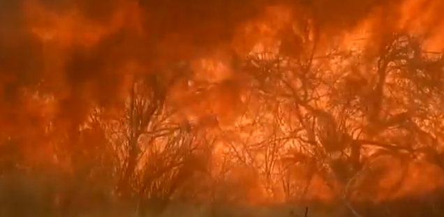 Man Charged In 71K Acre Northern California Wildfire