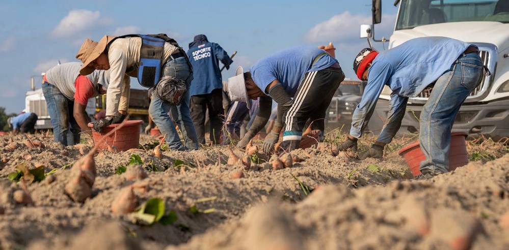 Farming Groups: Deportations Will Wreck Food Supply