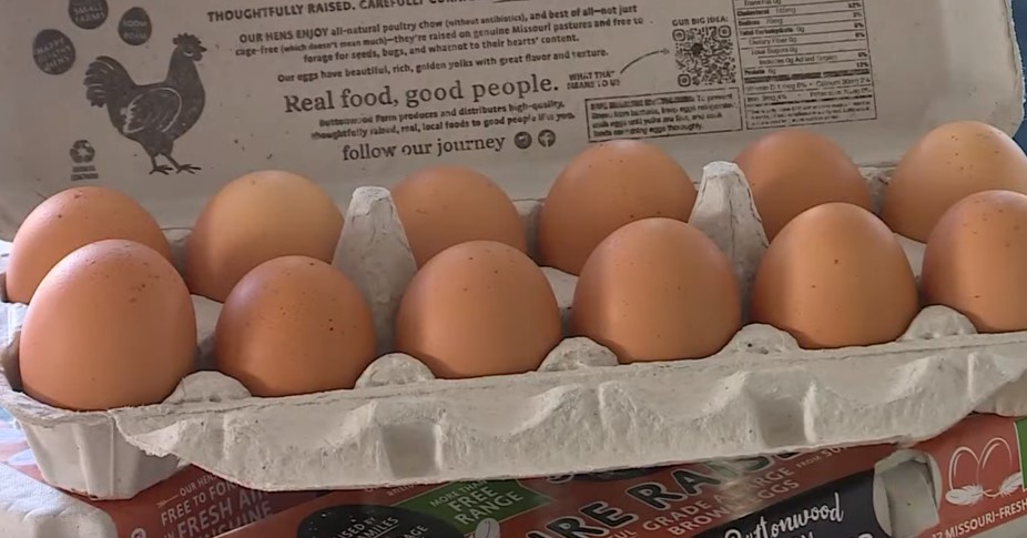 Fox Suddenly Decides Bird Flu To Blame For Egg Prices