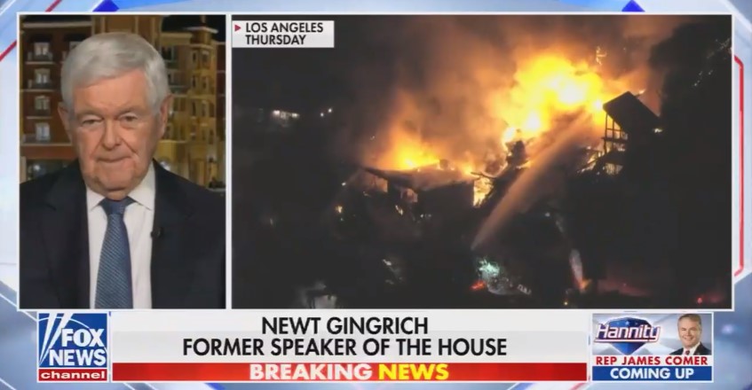 Gingrich: Dems Could Have Prevented Fires With Goats